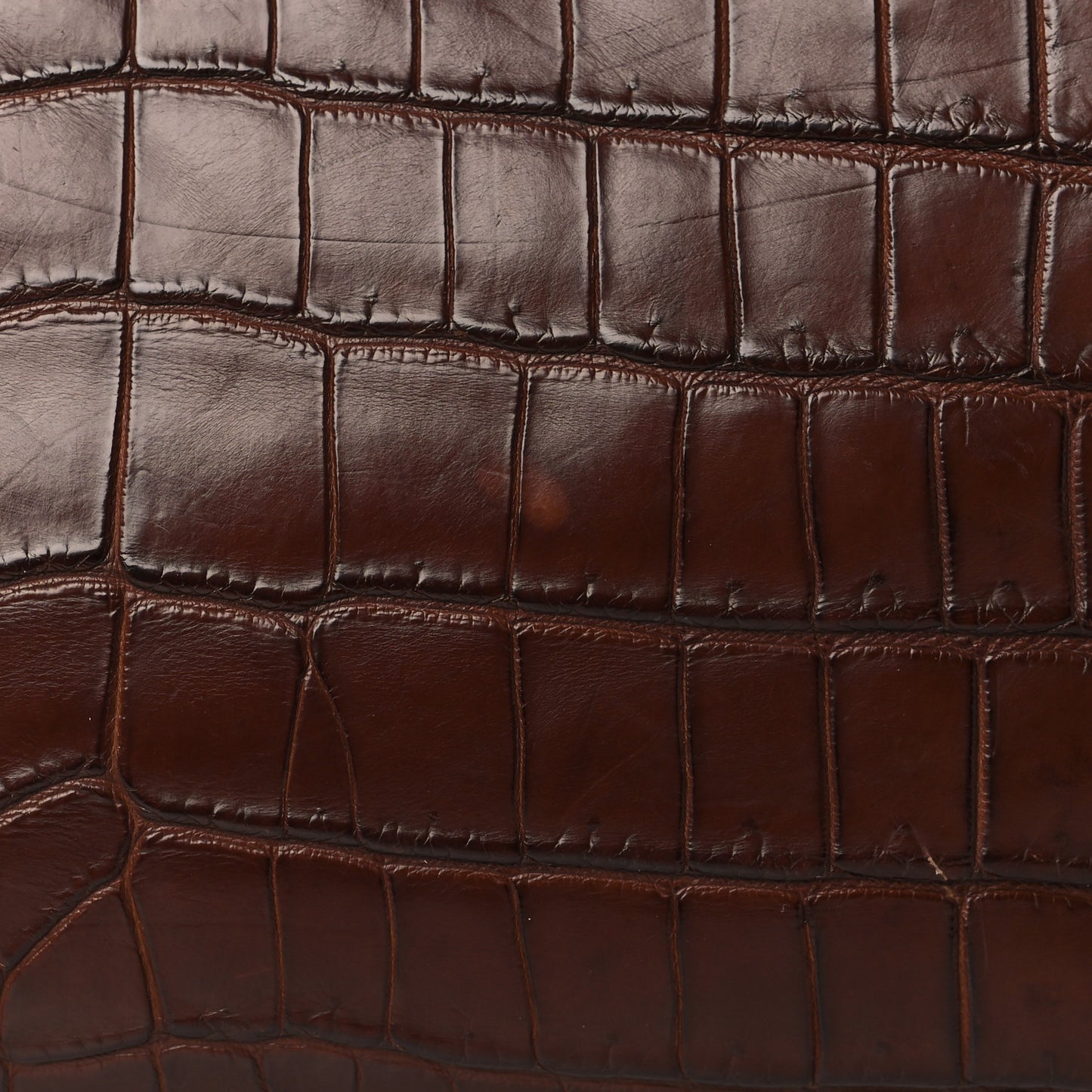 Crocodile Large Peekaboo Iconic Satchel Brown