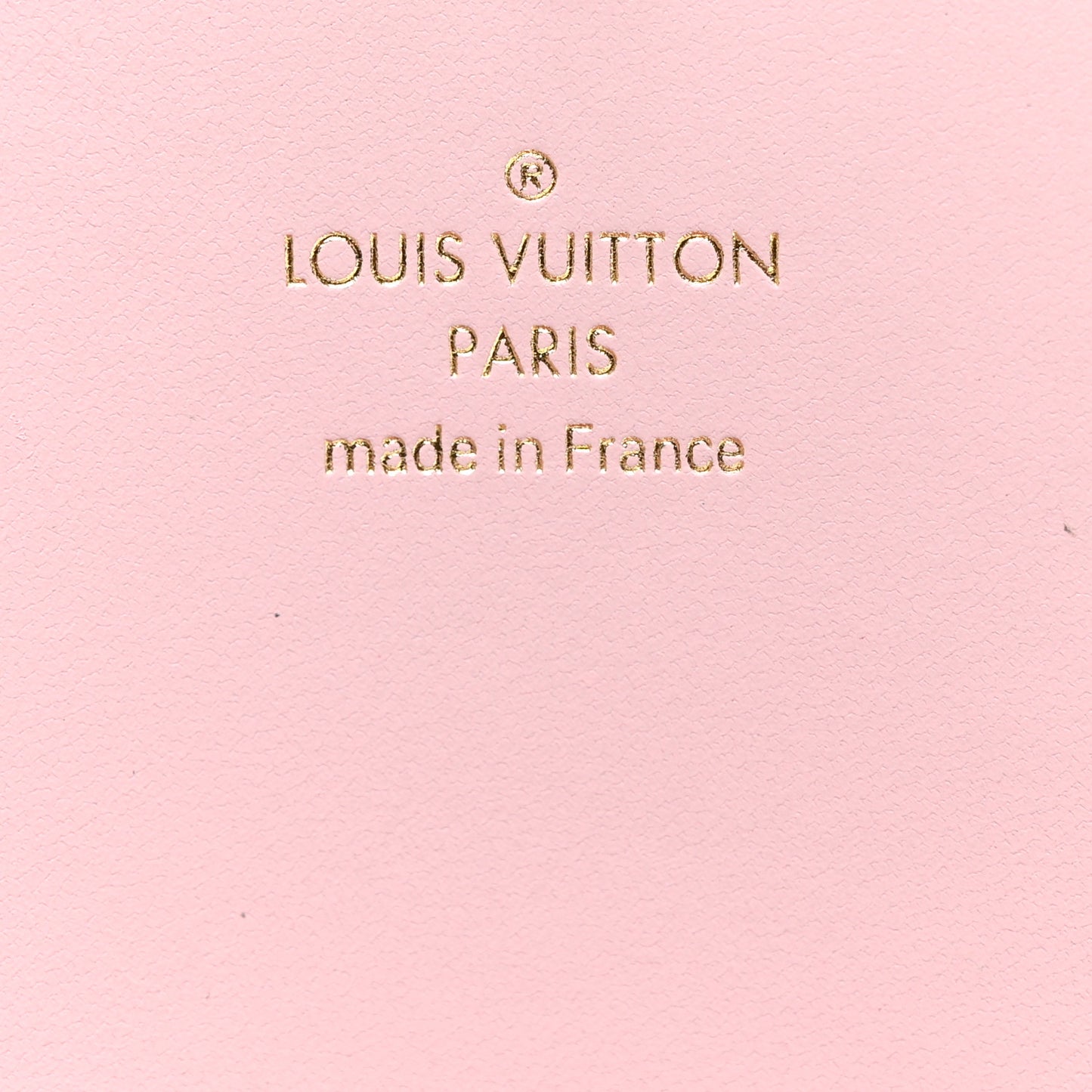 Monogram Giant By The Pool Large Kirigami Pochette Pink