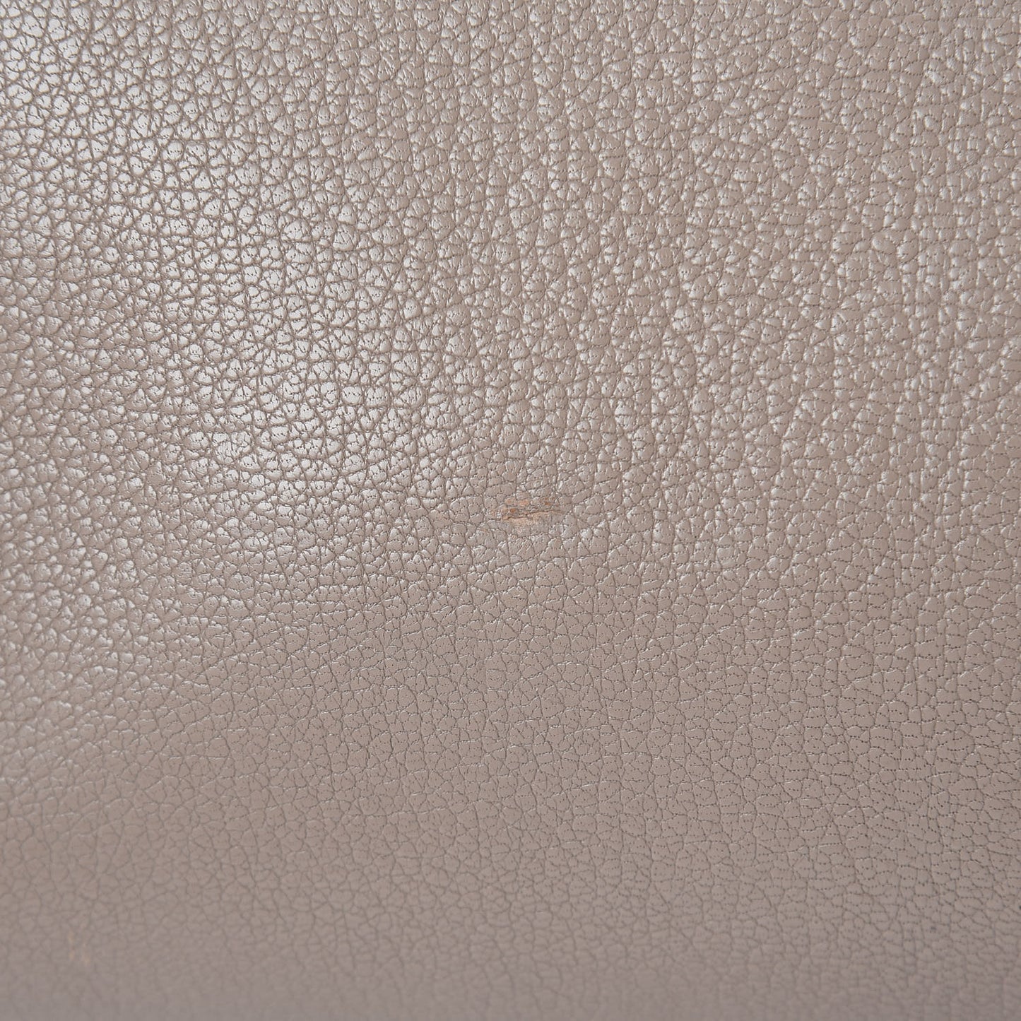 Sugar Goatskin Small Antigona Mastic