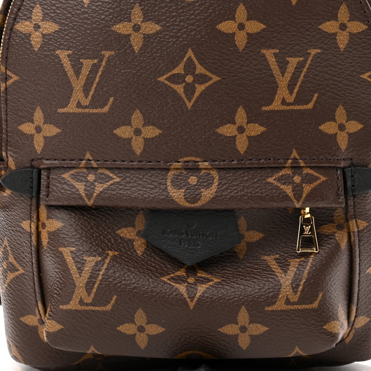 Monogram Palm Springs Backpack Mini