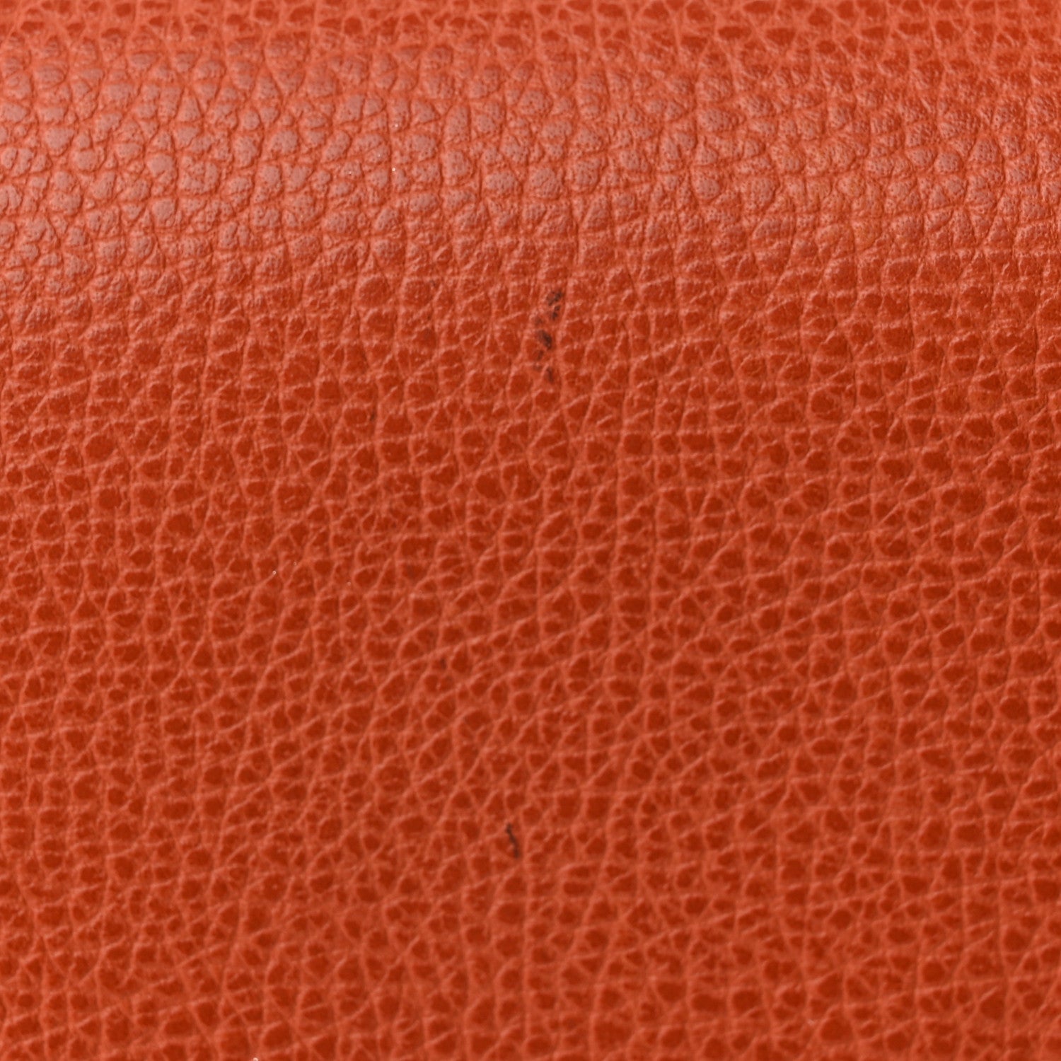 Hermes Vache Liegee Toile Sac Colorado MM Potiron 12 of 16