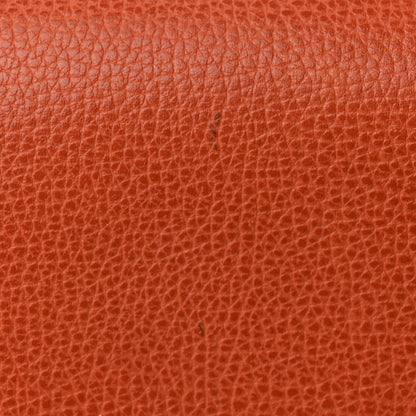 Hermes Vache Liegee Toile Sac Colorado MM Potiron 12 of 16