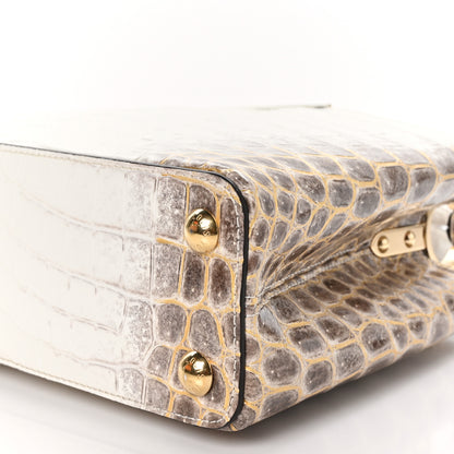 Louis Vuitton Himalaya Crocodile BB Capucines 10 of 10