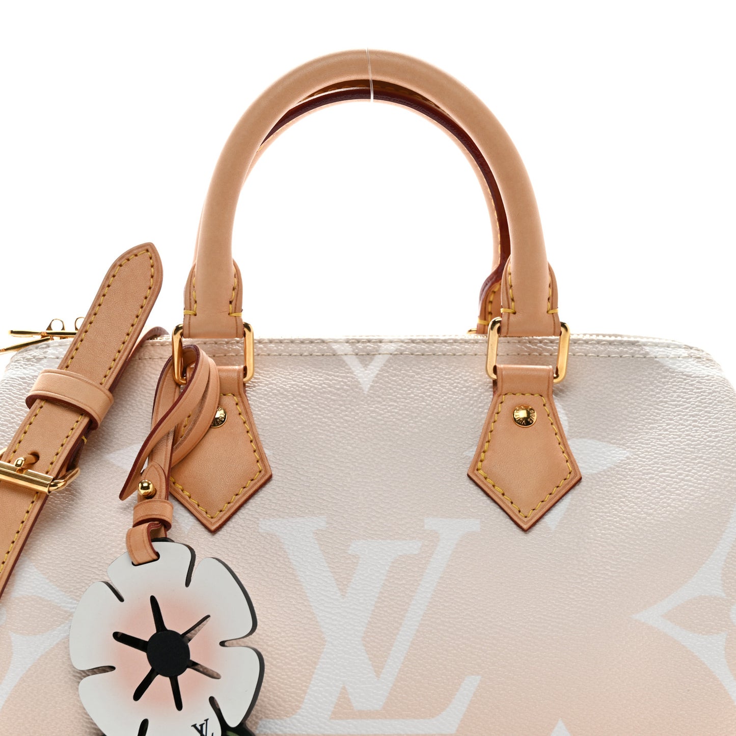 Monogram Giant By The Pool Speedy Bandouliere 25 Brume