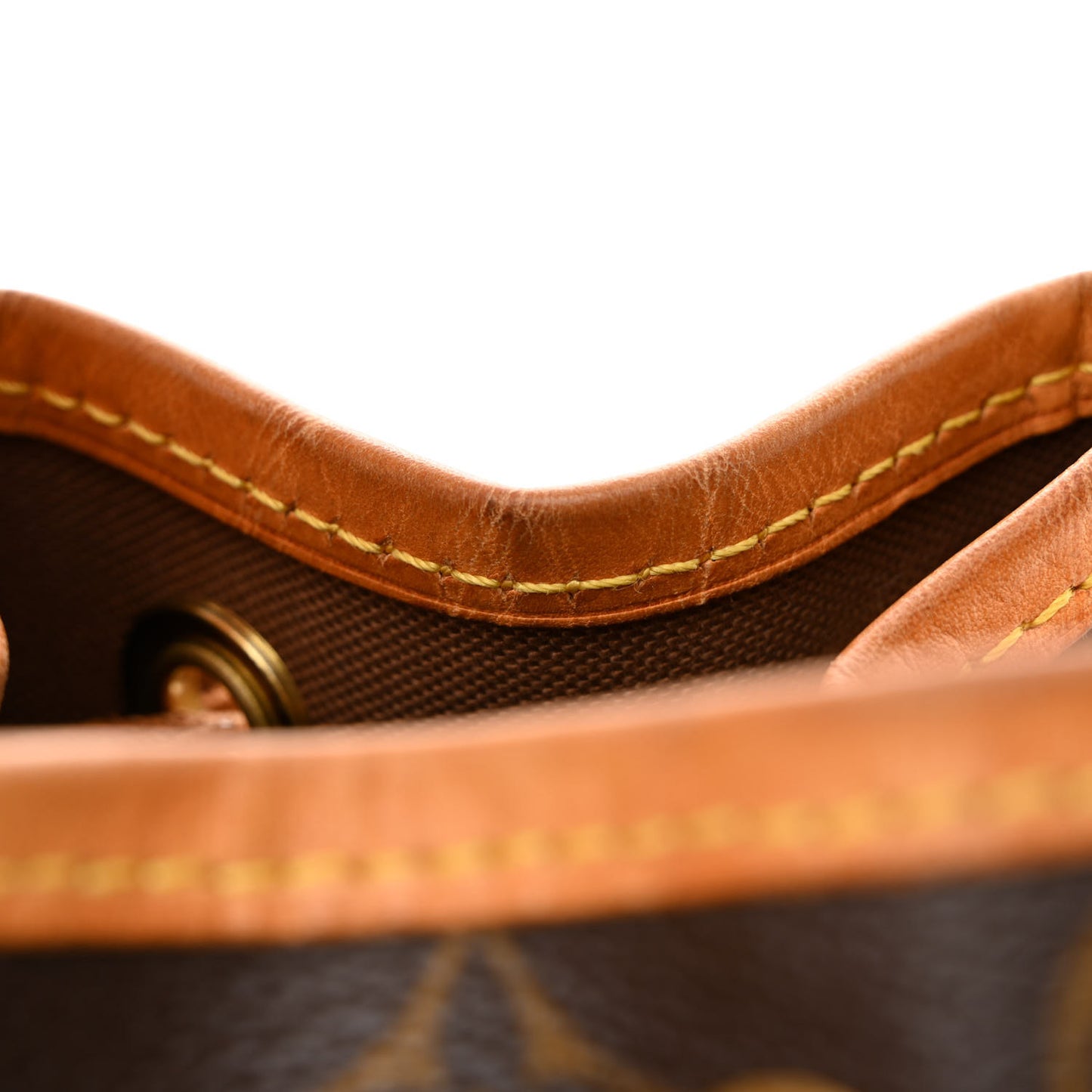 Monogram Mini Noe