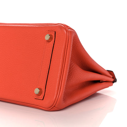 Hermes Taurillon Clemence Birkin 25 Feu 9 of 34