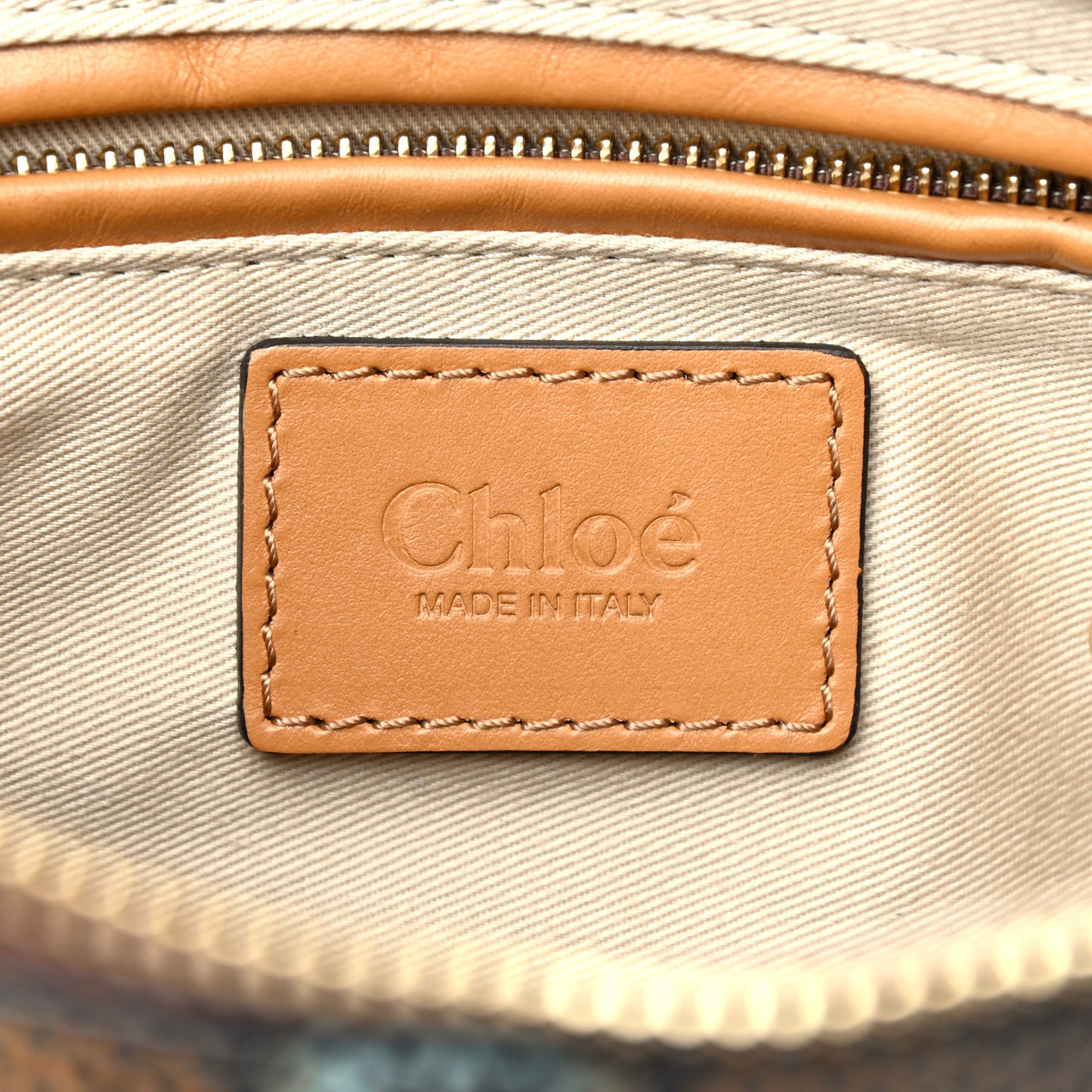 Snakeskin Calfskin Embossed Medium Marcie Satchel Multicolor