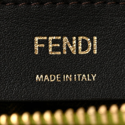 Fendi Vitello King Plexiglass Logo Embossed Mini By The Way Top Handle Boston Bag Wasabi 6 of 13