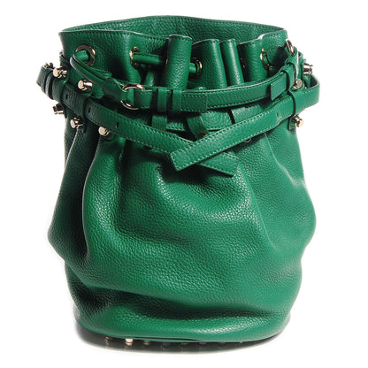 Alexander Wang Dumbo Leather Diego Bucket Bag Vine w Pale Gold Hardware 1 of 6