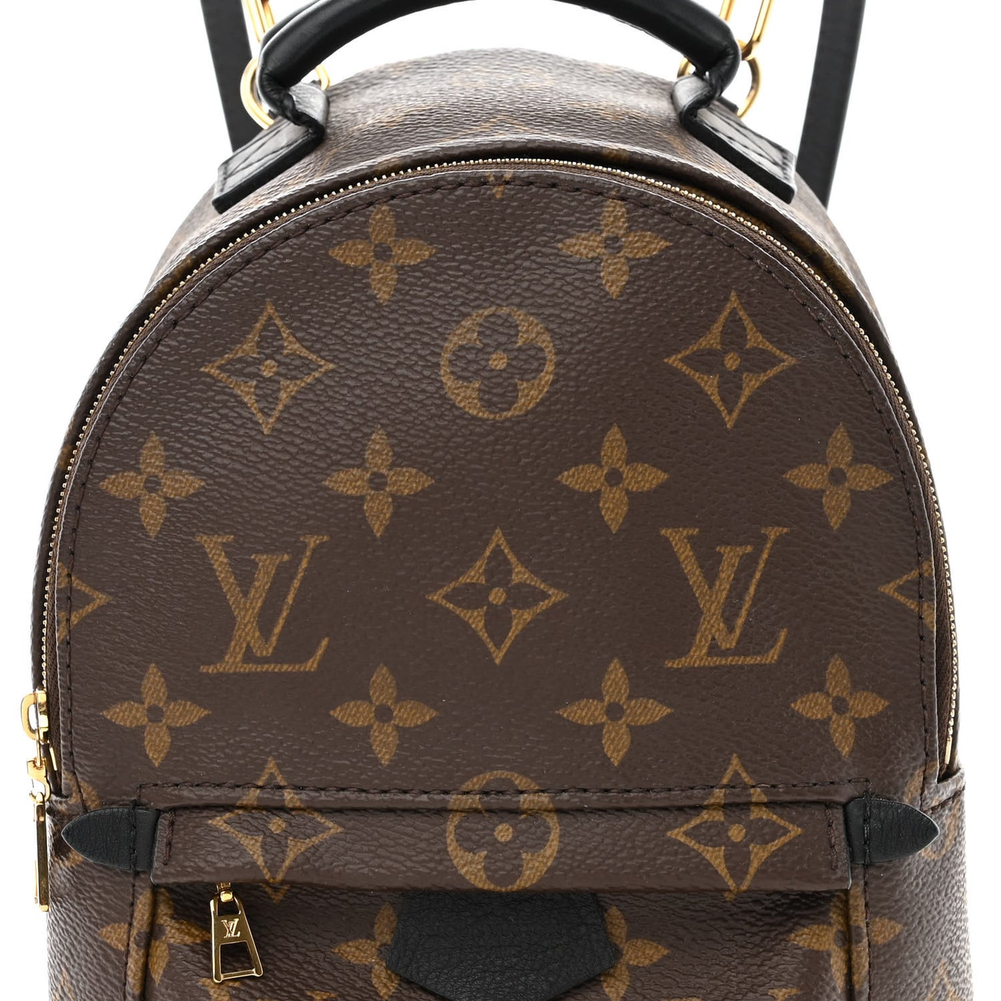 Monogram Palm Springs Backpack Mini