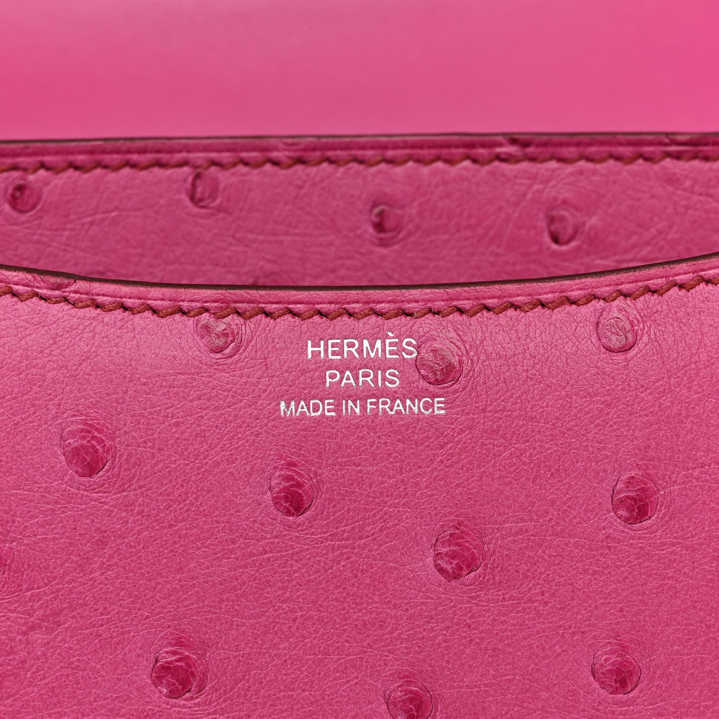 Ostrich Constance 18 Rose Pourpre