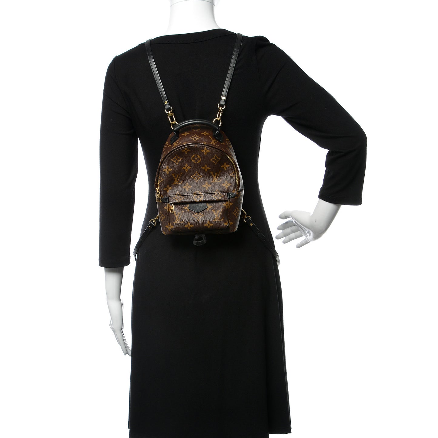 Monogram Palm Springs Backpack Mini