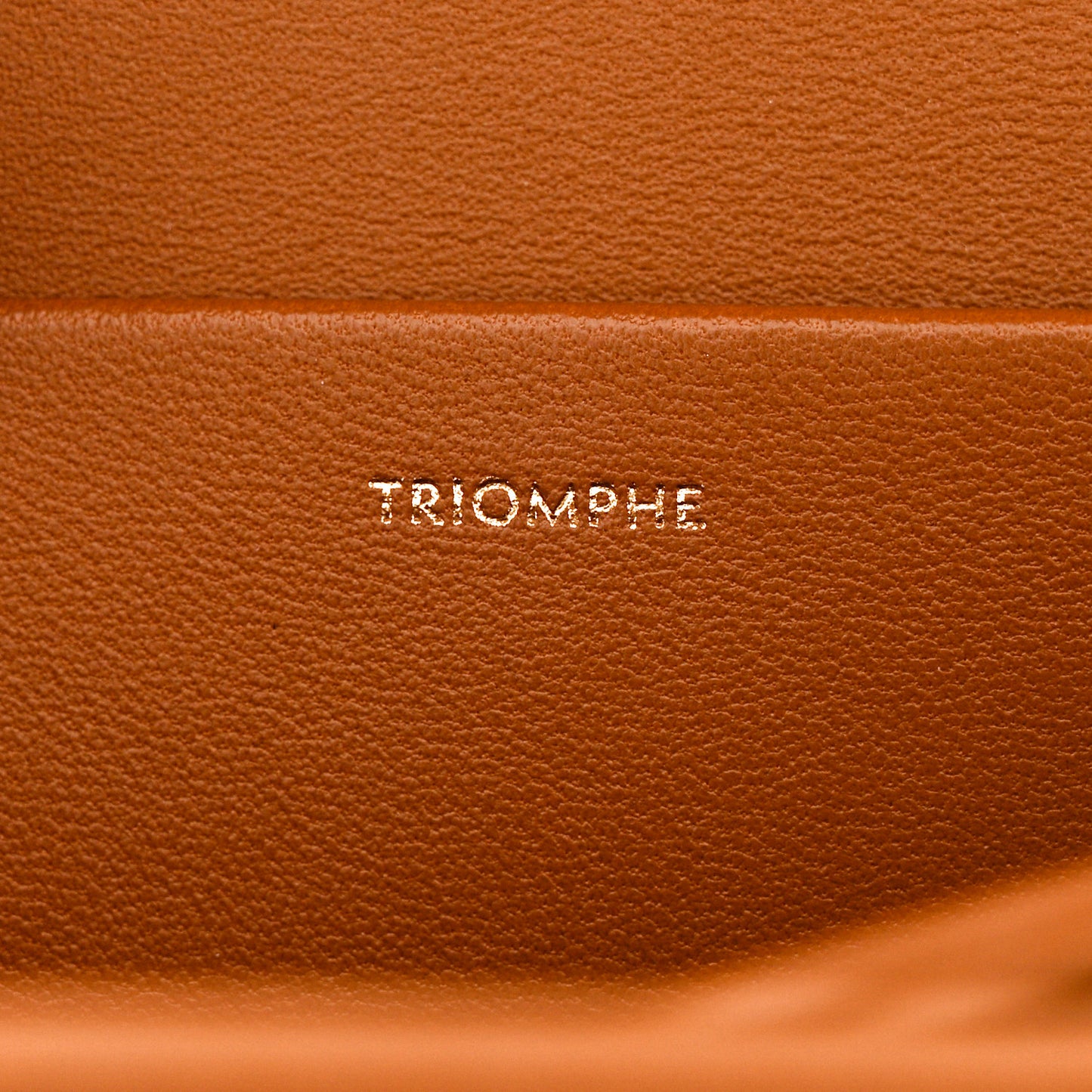 Raffia Jacquard Calfskin Medium Triomphe Natural Tan