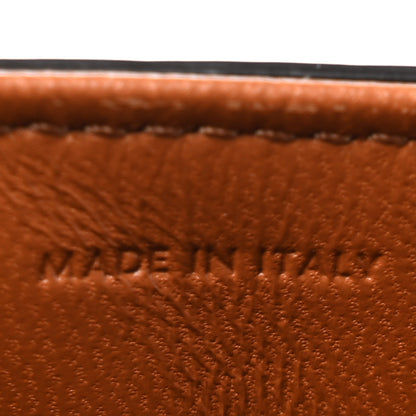 Celine Calfskin Triomphe Canvas Teen Triomphe Bag Tan 6 of 10