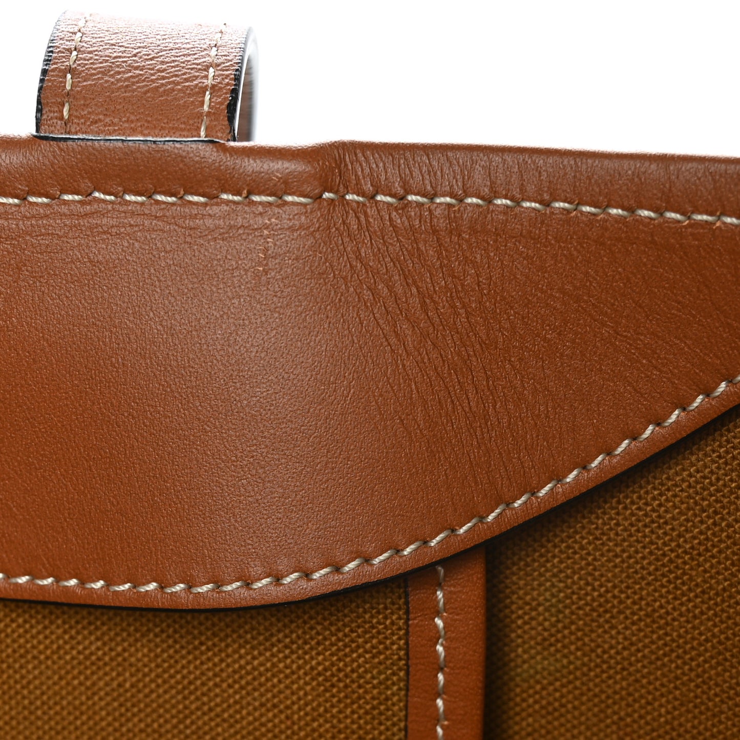 Triomphe Canvas Calfskin Medium Cabas Bag Tan