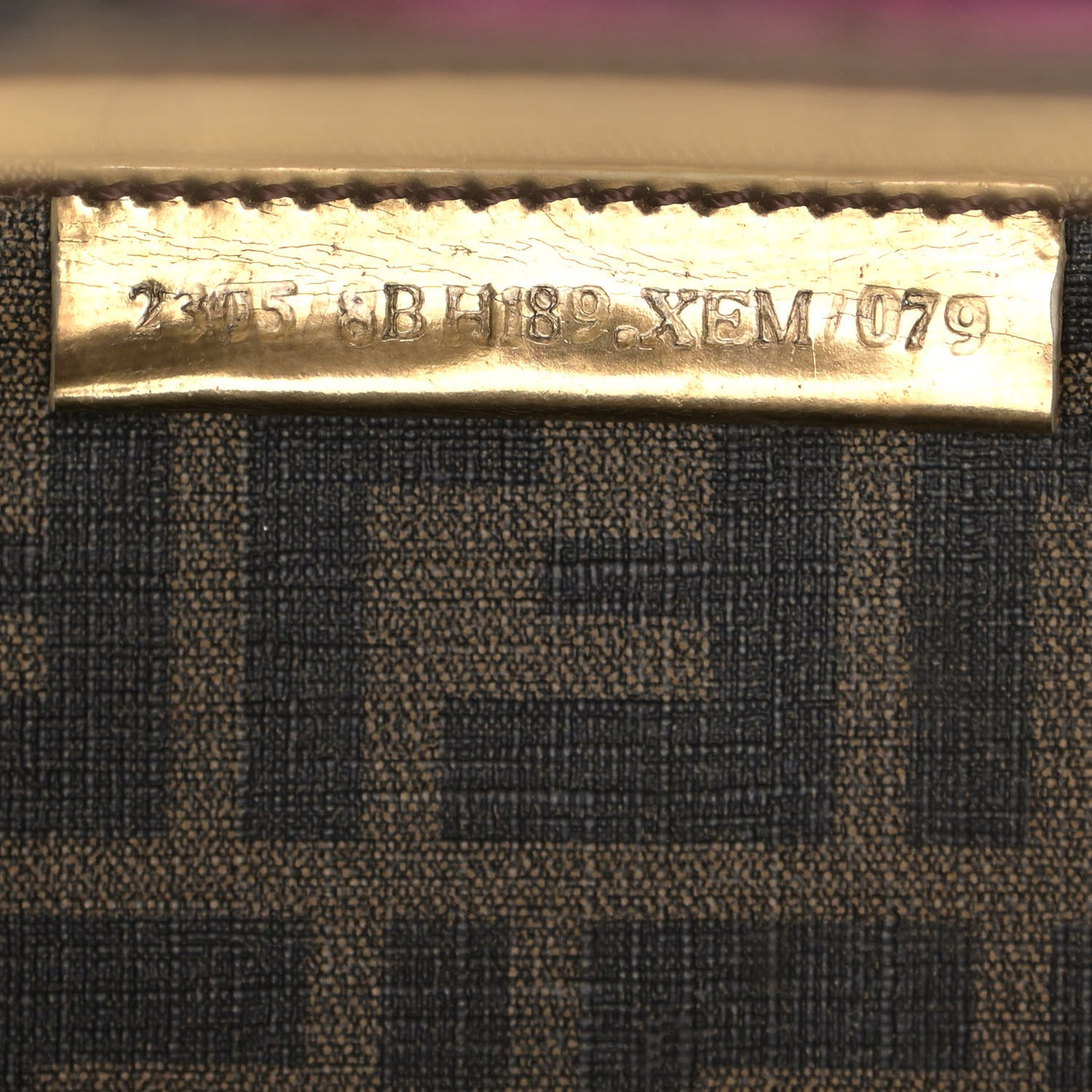 Metallic Calfskin Zucca Spalmati Shopping Tote Tobacco
