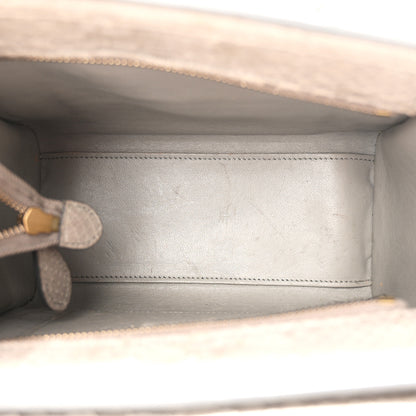Celine Snakeskin Nano Luggage Grey 5 of 11