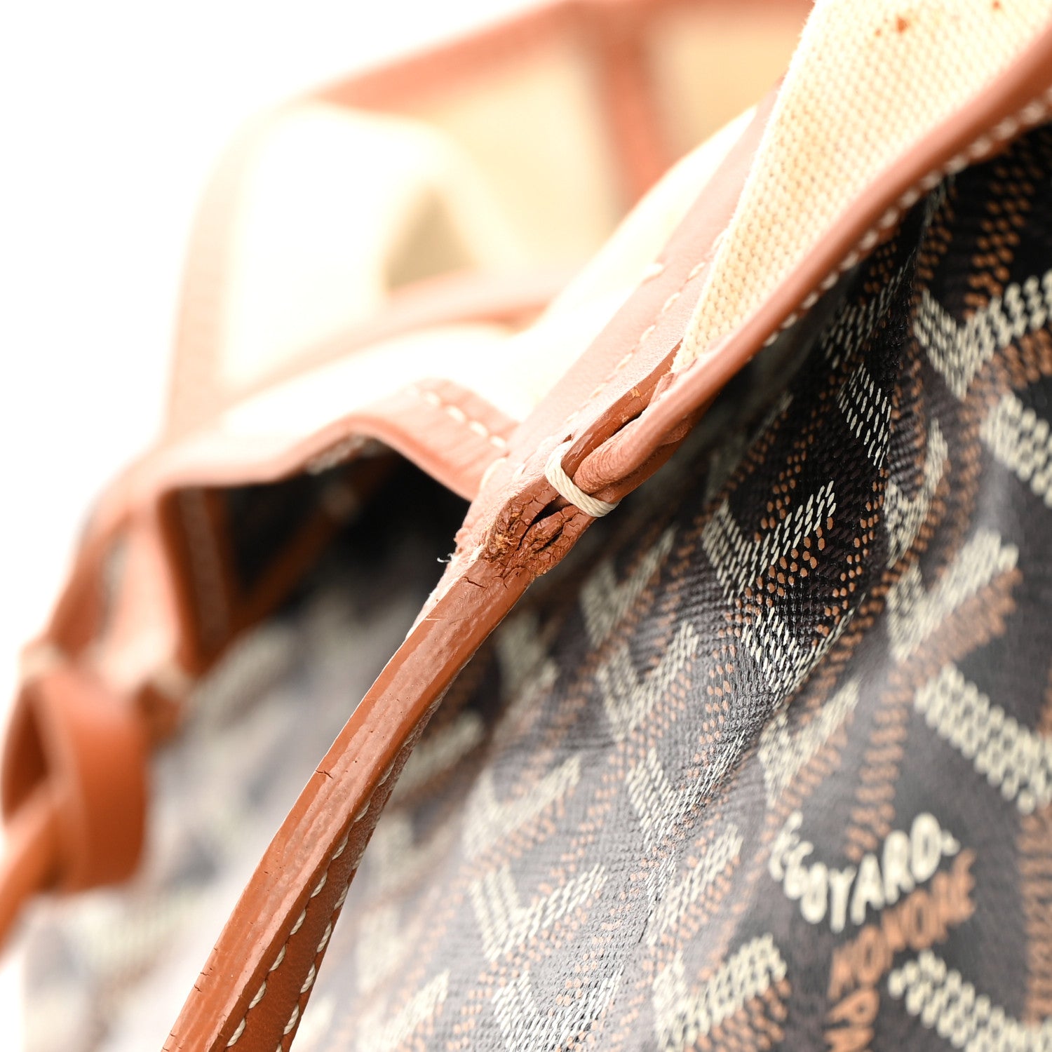 Goyard Goyardine Saint Louis PM Black Gold 19 of 22