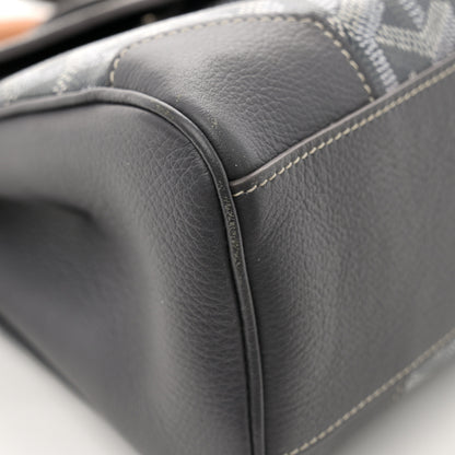 Goyard Goyardine Mini Saigon Grey 13 of 15
