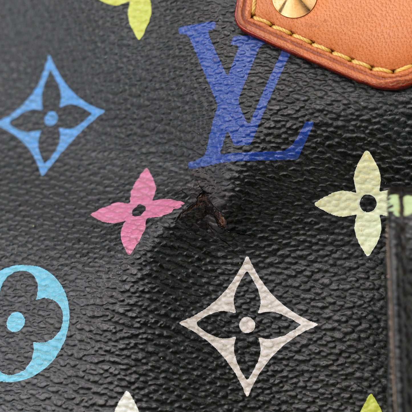 Monogram Multicolor Alma GM Black