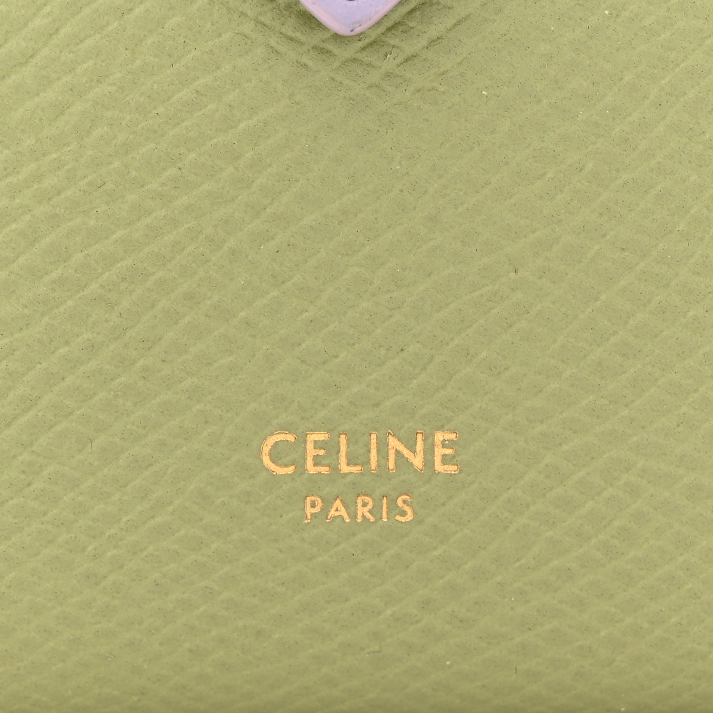 Grained Calfskin Medium Multifunction Strap Wallet Sage Lilas