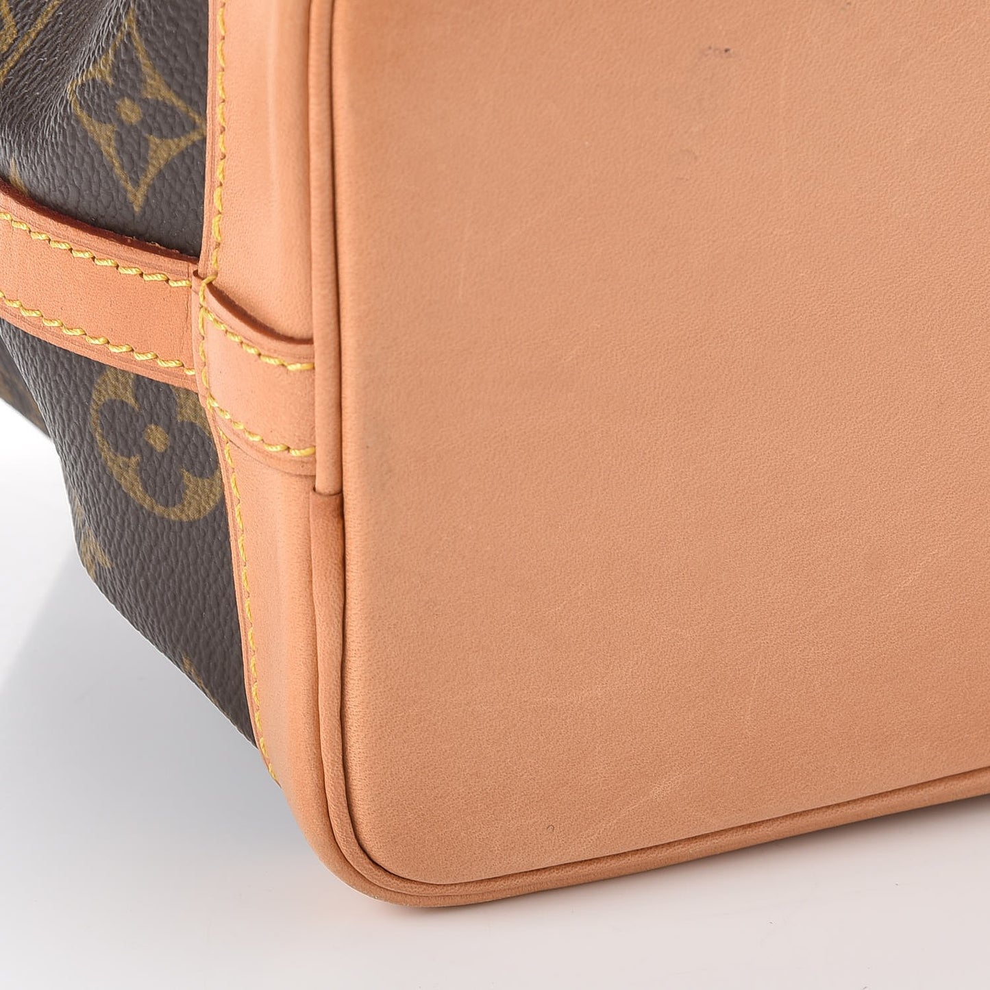 Monogram Mini Noe