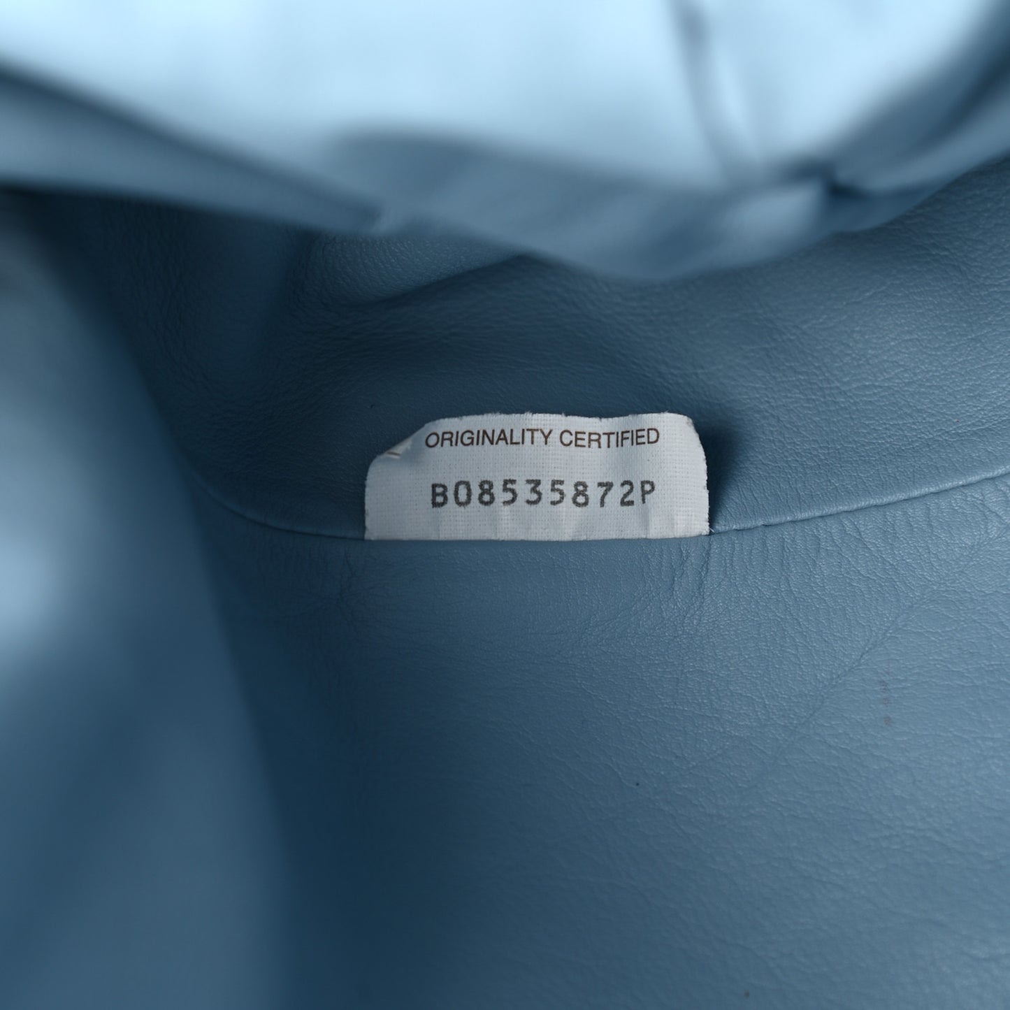 Smooth Butter Calf The Pouch Oversized Clutch Ice