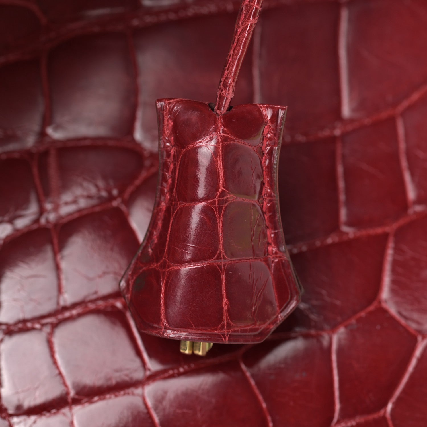 Hermes Shiny Alligator Birkin 35 Rouge Vif 29 of 38