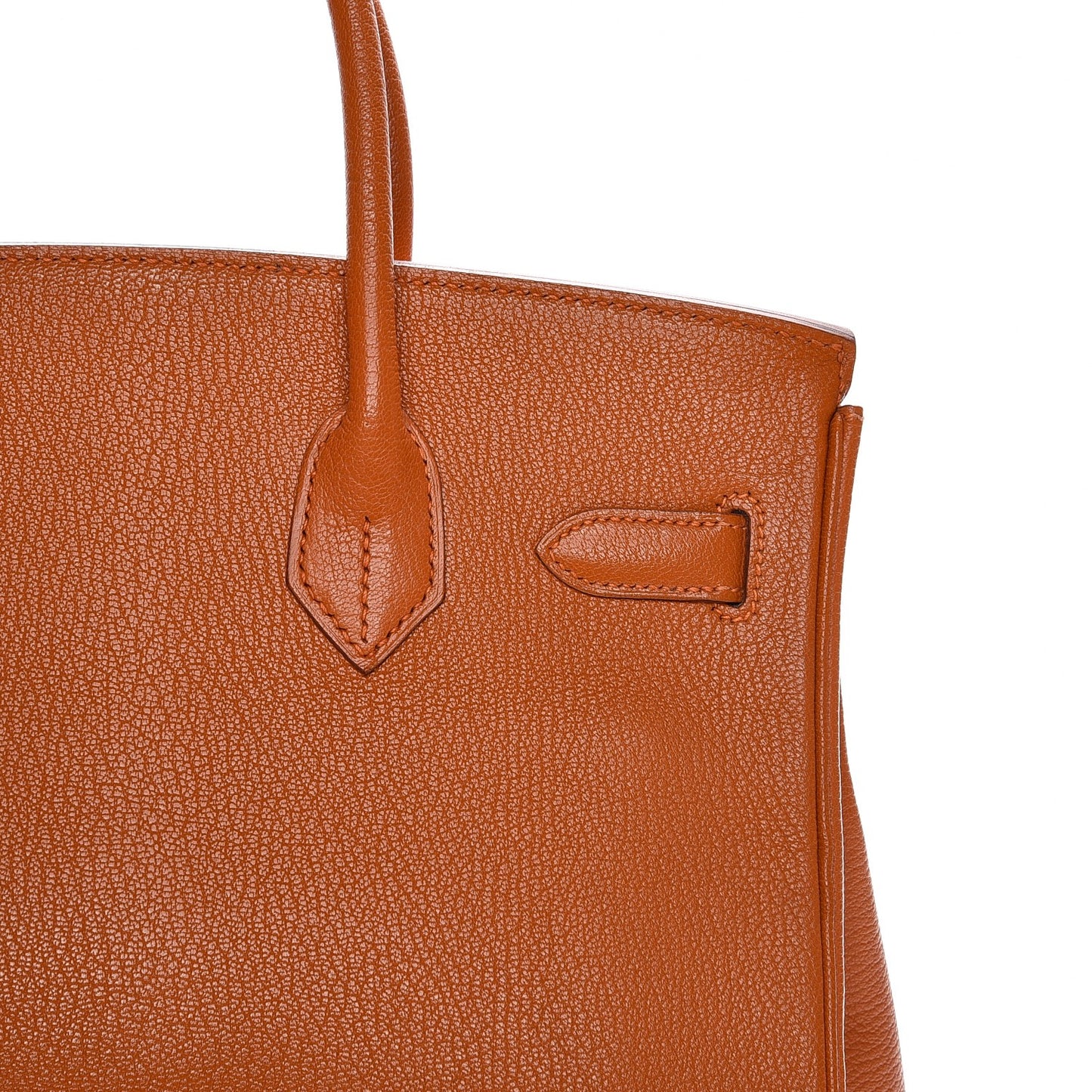 Chevre de Coromandel Birkin 30 Potiron