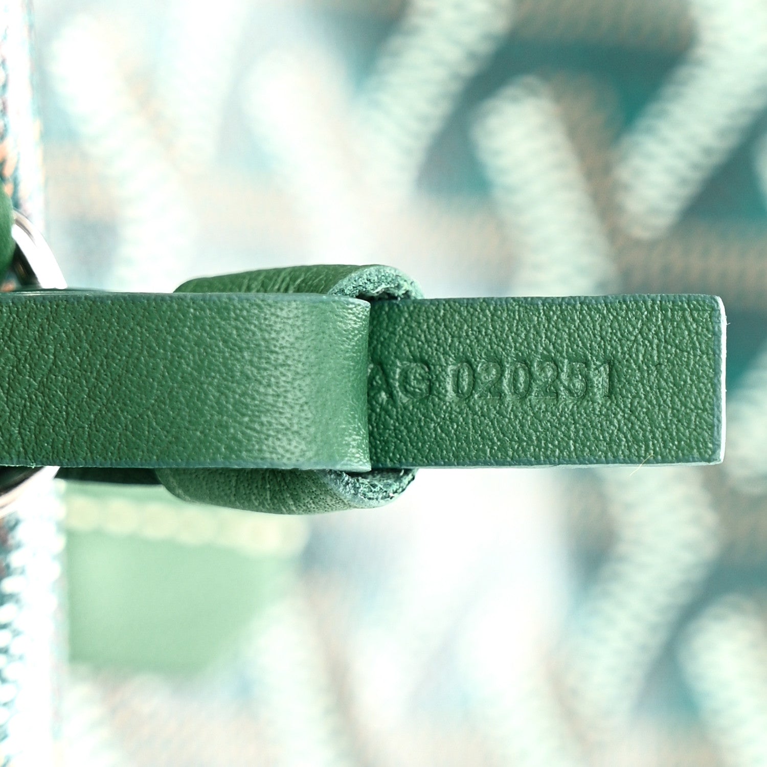Goyard Goyardine Reversible Mini Anjou Green 13 of 19