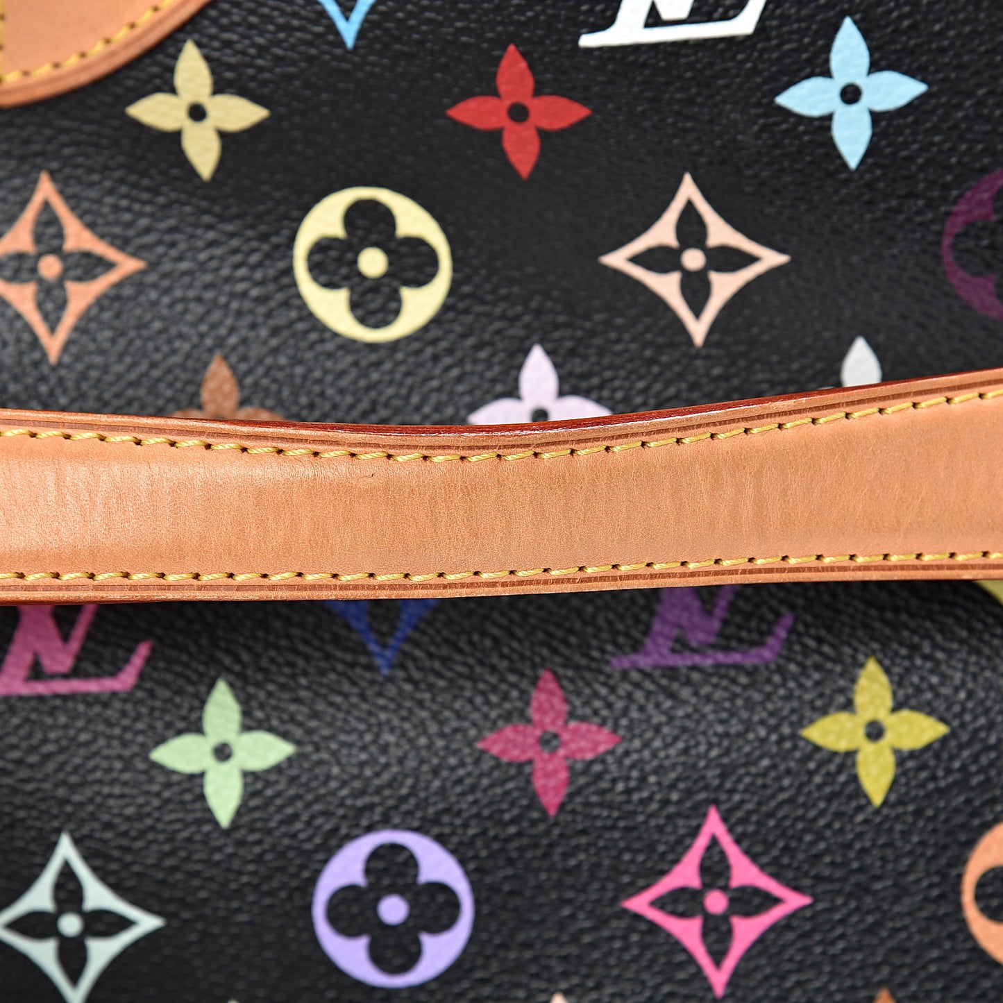Monogram Multicolor Annie GM Black