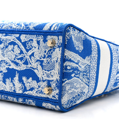 Christian Dior Canvas Toile De Jouy Reverse Embroidered Medium Lady D-Lite Fluorescent Blue 10 of 15
