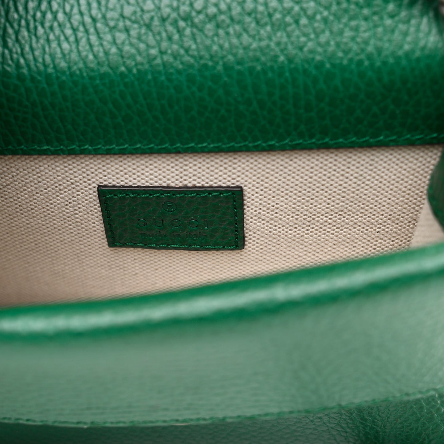 Dollar Calfskin Crystal Mini Dionysus Top Handle Bag Emerald