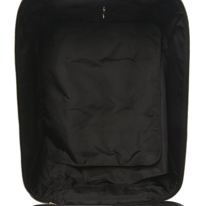 Louis Vuitton Damier Ebene Pegase 45 5 of 11