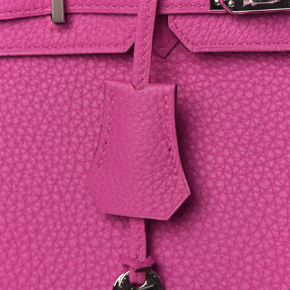 Hermes Togo Birkin 25 Magnolia 26 of 37