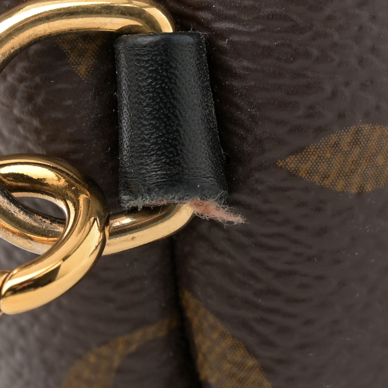 Louis Vuitton Monogram Palm Springs Backpack Mini 12 of 14