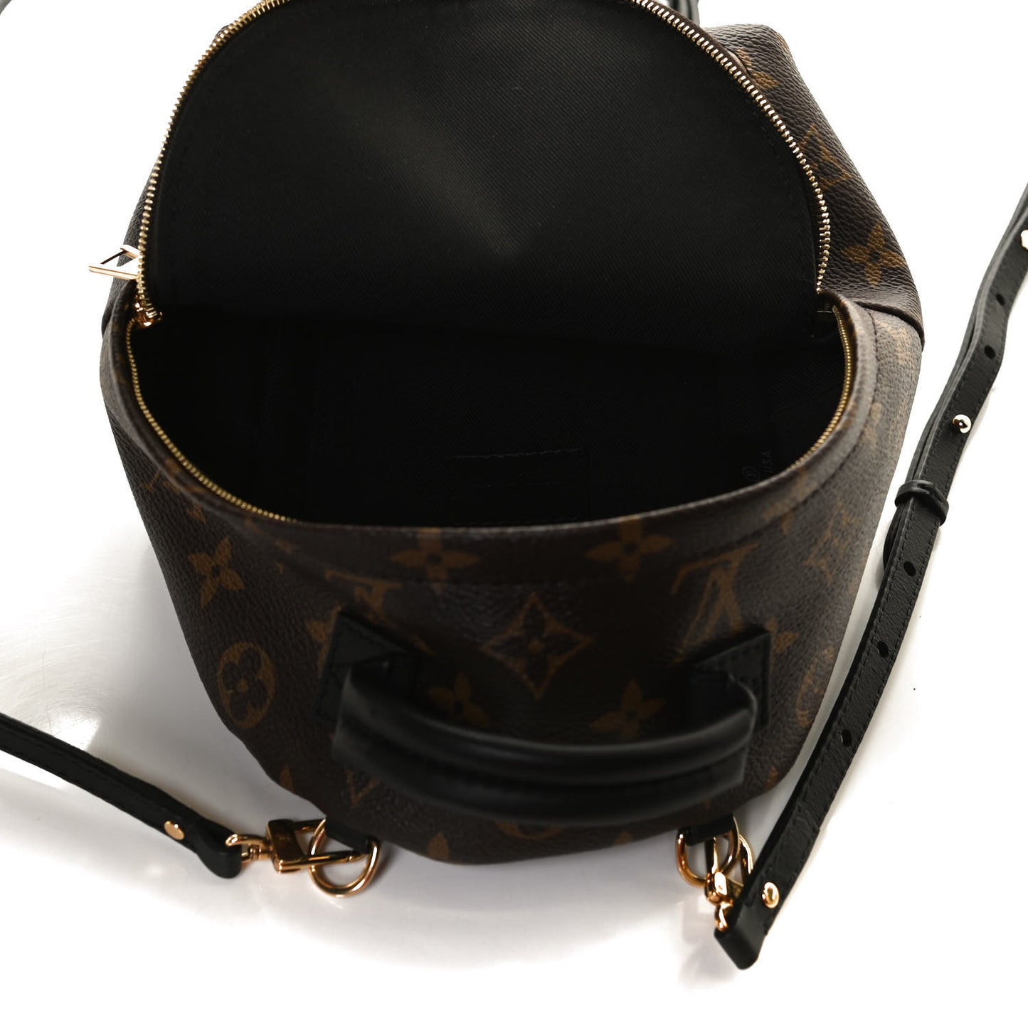 Monogram Palm Springs Backpack Mini