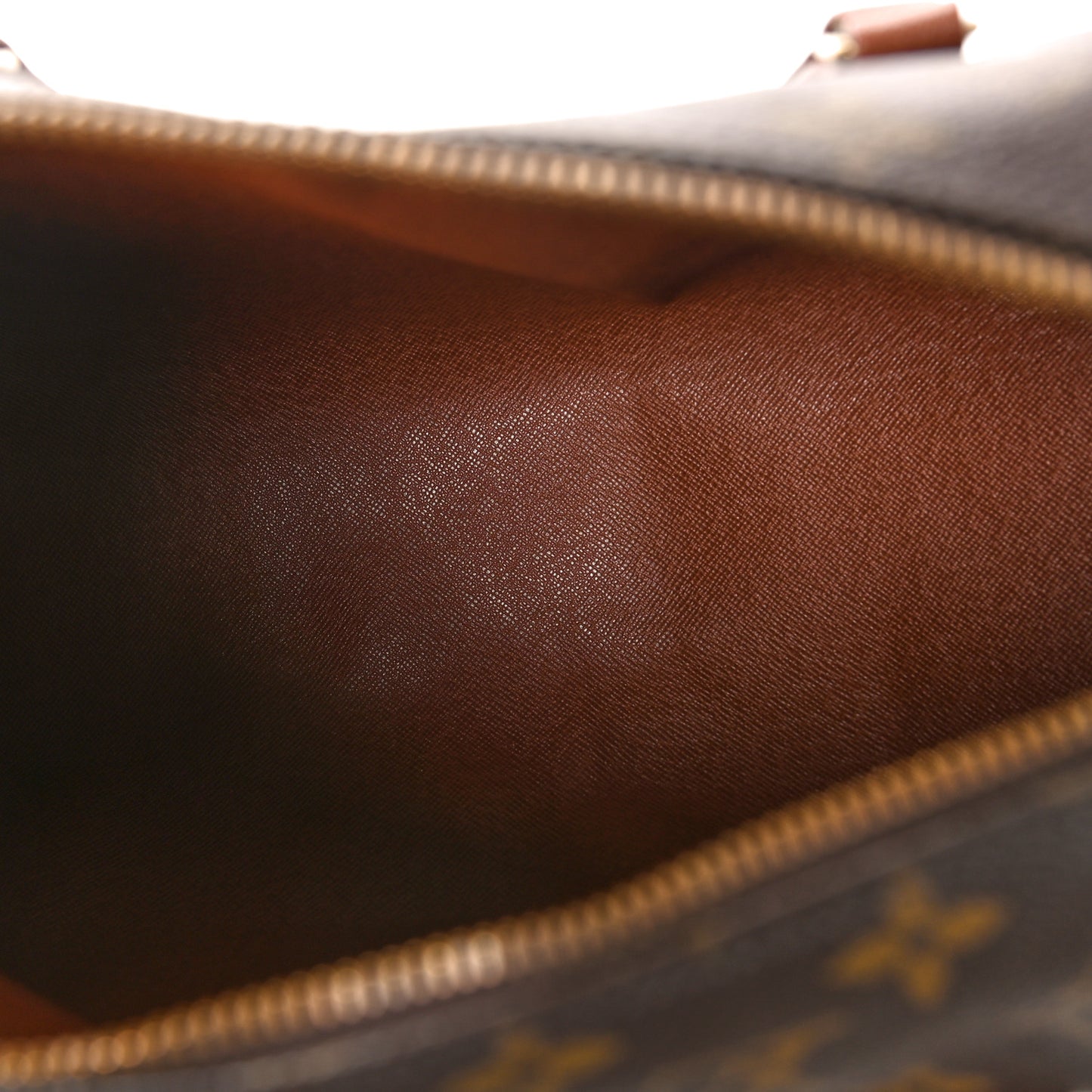 Monogram Papillon 30 with Companion