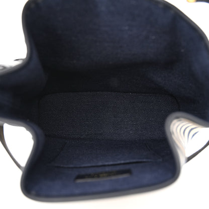 Christian Dior Raffia Medium C'est Chain Bucket Bag Natural Denim Blue 5 of 10