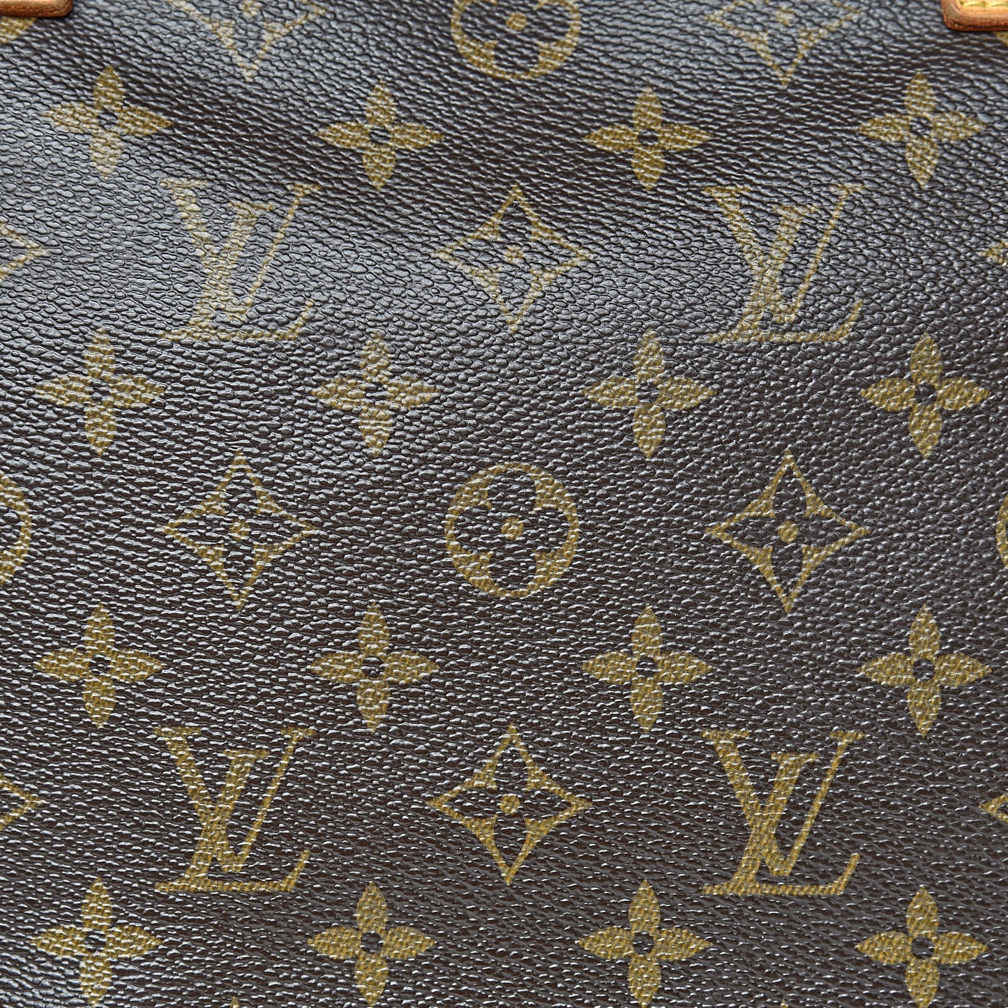 Monogram Cabas Mezzo