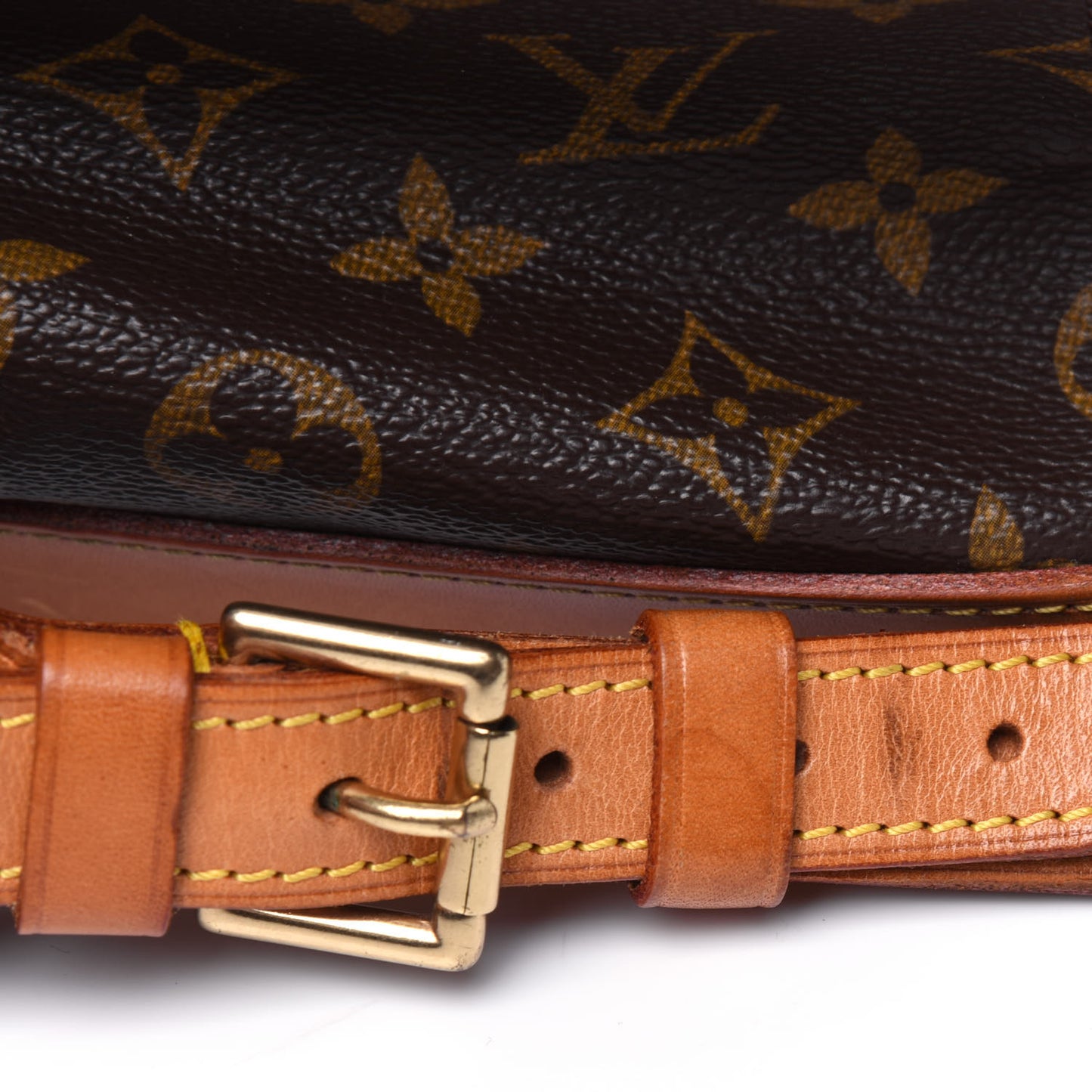Monogram Montsouris GM Backpack