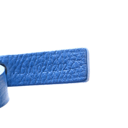 Goyard Goyardine Saint Louis PM Sky Blue 8 of 12