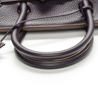 Hermes Togo Birkin 30 Raisin 10 of 25
