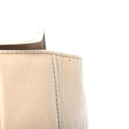 Chloe Goatskin Medium Elsie Shoulder Bag Biscotti Beige 11 of 14