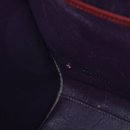 Celine Palmelato Micro Luggage Red Wood 9 of 20