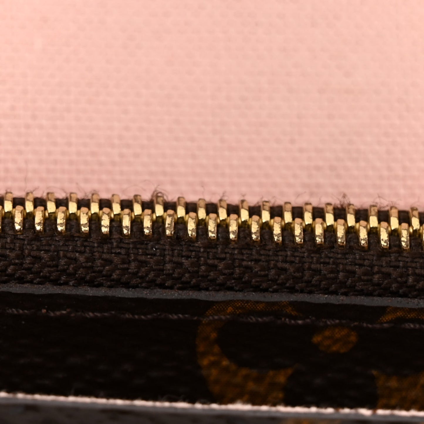 Monogram Lovely Birds Pochette Felicie Chain Wallet