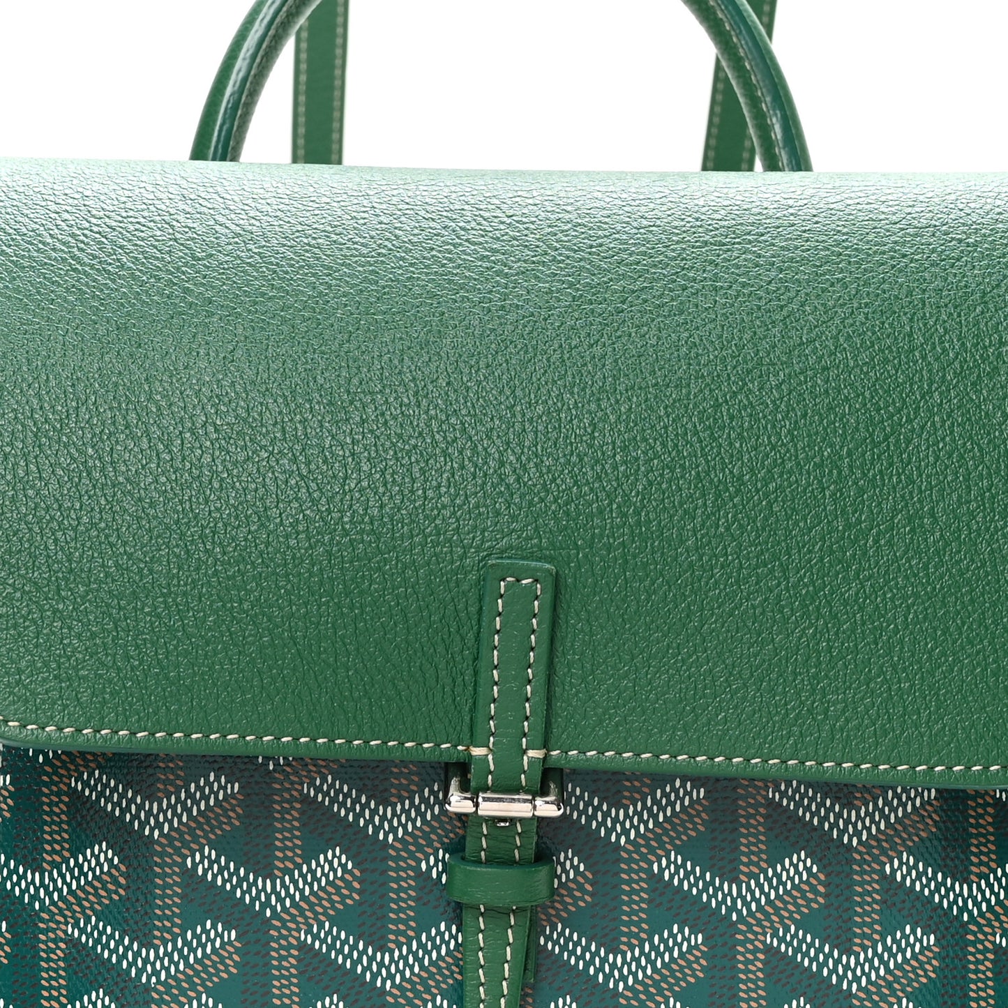 Goyardine Calfskin Mini Alpin Backpack Green