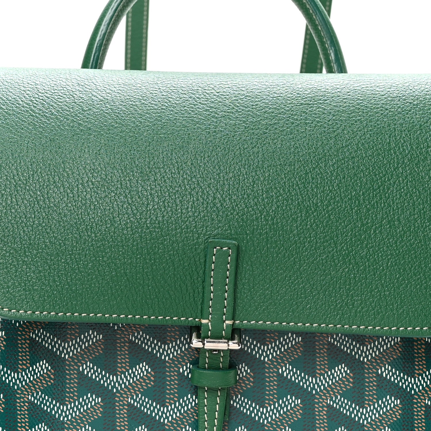 Goyard Goyardine Calfskin Mini Alpin Backpack Green 8 of 10