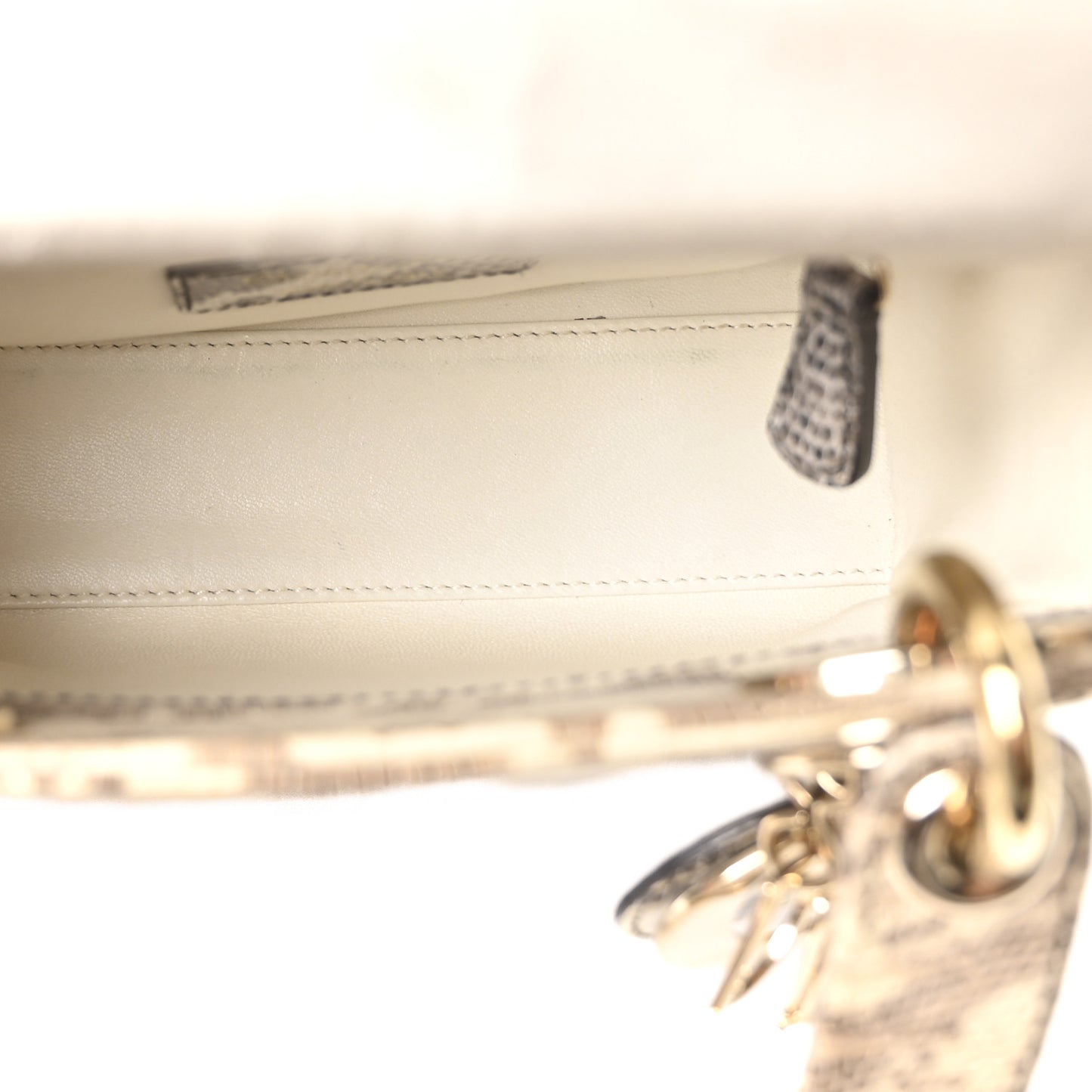 Lizard Ombre Mini Lady Dior