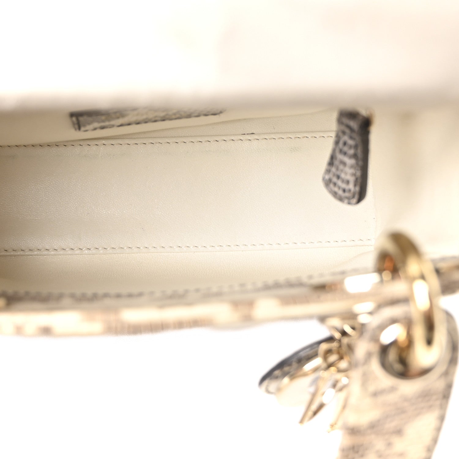 Christian Dior Lizard Ombre Mini Lady Dior 5 of 10